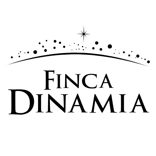 Logo aliado