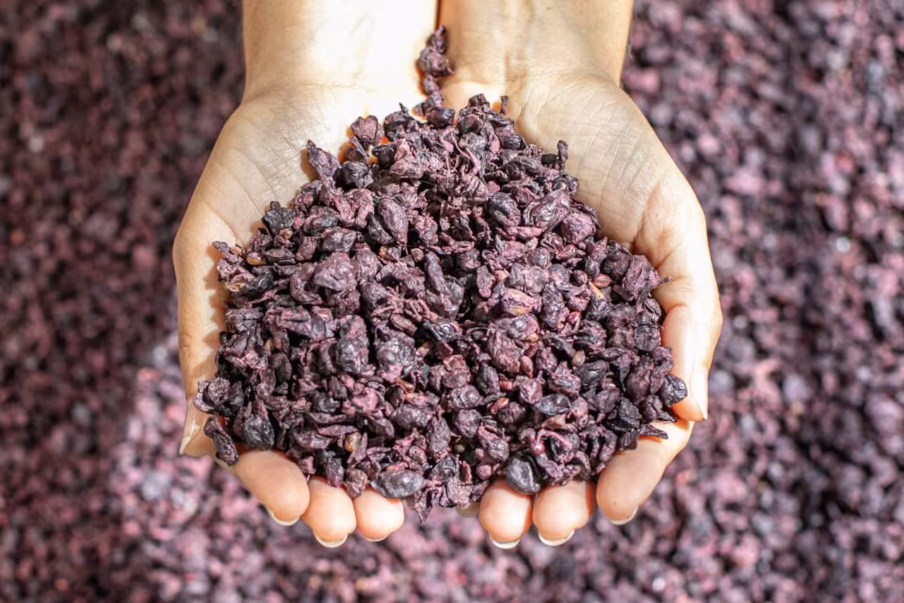 Uvas mendocinas en racimo